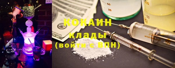 крисы Богданович