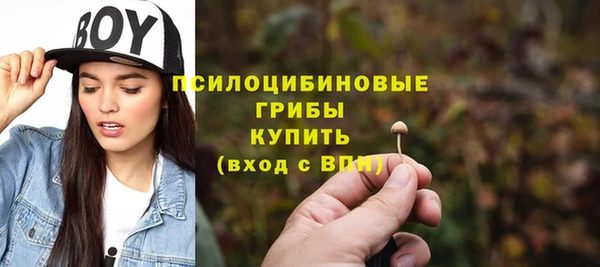 крисы Богданович