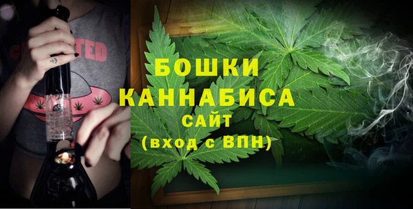 МДПВ Богородицк
